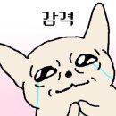 동양전업 이미지