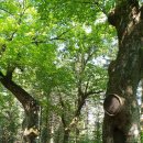 옥수골 마을 이미지