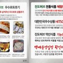 진도 허브 이미지
