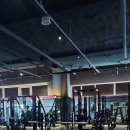 머슬피플 이미지