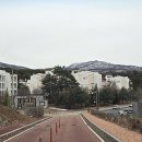 양벌로353번길 이미지