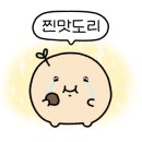 개미들의 백년 쭈꾸미