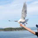 삼일가든 이미지