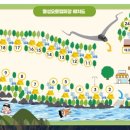 월성오토캠핑장 이미지