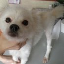 서림동-11 이미지