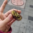 사람을 살리는 건 결국 그런거에요
