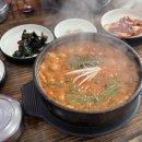 배양 | #5 동결배아 이식 (5일배양) 후기