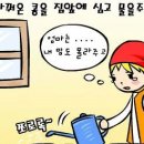 잭과콩나물