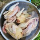 현철농장 이미지