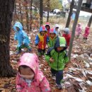 11월18일 비오는날 세수리산 산책 이미지