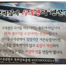 육두령