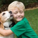 따라 애견학교 이미지