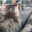 (주)수협사료 이미지