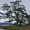 곰솔농장 이미지