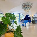 비고리조트 7 | 아기랑 다낭여행 라이즈마운트 리조트 호텔 조식, 수영장 후기