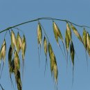 삼촌푸드 이미지