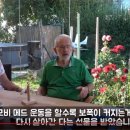 메드케이스 이미지