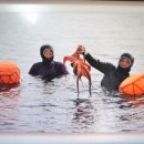 해녀밥상 이미지