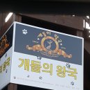 개들의왕국 이미지