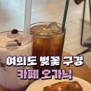오가닉힐링클럽 | 여의도 벚꽃 데이트 카페 | 카페 오가닉