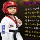 조정희 태권도 이미지