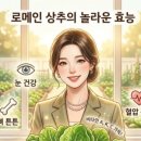 채소받