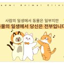 석적동물병원