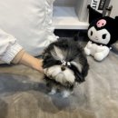 멜로디펍스 이미지