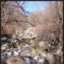 가리왕산 이미지