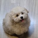 아람참치 | 사진첩 털기 7월6일-12일 일상