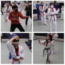 품안에태권도장 이미지