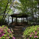 보령댐휴게공원 이미지