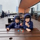 스테이 감도 이미지