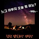 야로면_나대리(배출하우스) | 합천별빛농장캠핑장 솔직 후기