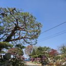 동민목장 이미지