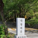 대항마마펜션 이미지