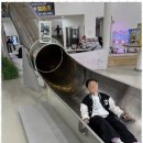 배움태권도 이미지