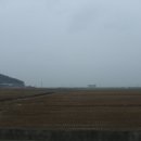 덕성사 Daum카페