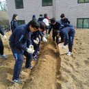 음봉중학교 이미지