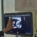 래플즈동물병원 이미지