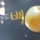 정경농장 이미지