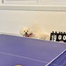 포천당구장 이미지