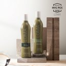 엠브이지(MVG) 이미지