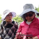 주상전하 이미지