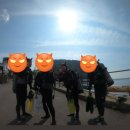 검멀레리조트 이미지