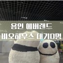 랜드하우스 | [에버랜드] 바오하우스관람 후기 대기 줄 없이 전세 내고 온 날