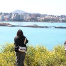 다압면 섬진강 매화마을 인근 이미지