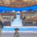 강원체육회관 | 국립춘천박물관 미디어아트 어린이박물관 이용 후기 웅장하고 예쁘고 재미있고!