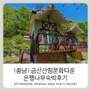삼매소 | [ 금산 ] 금산산림문화타운 ( 남이자연휴양림 ) 은행나무방 숙박후기 , 아이와 함께 목재문화체험 가능한곳