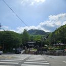 큐사랑시흥은행나무점 | [35주차]숲태담태교(서이추환영)
